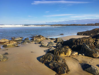 Scenic view of beach