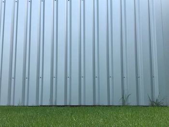 Plants growing on field by wall