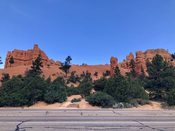 Trees on rock against blue sky