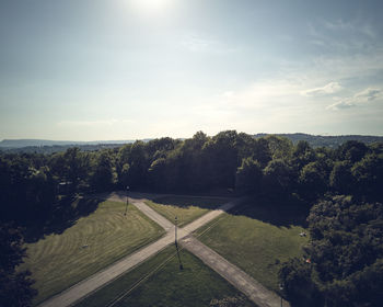 Trees at park on sunny day