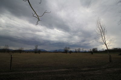 Bare trees on field against sky