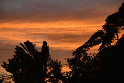 Silhouette trees against dramatic sky during sunset