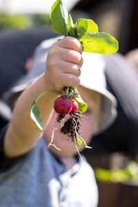 Close-up of boy holding fruit at farm