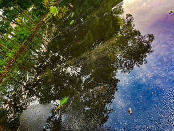 reflection