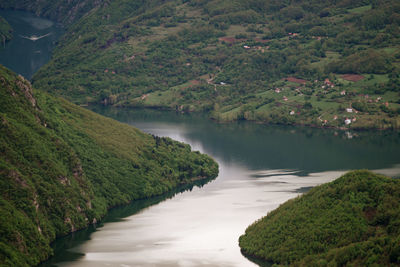 Scenic view of river amidst trees in forest