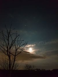 Low angle view of silhouette bare tree against sky at night