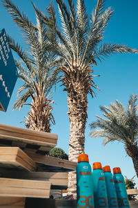 Low angle view of palm trees against clear sky