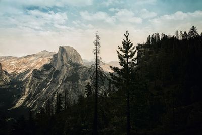 Trees on mountain against sky