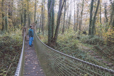 Man standing on footbridge in forest