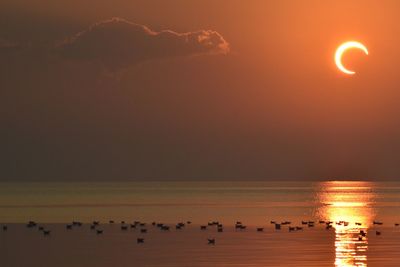 Sun and solar eclipse 