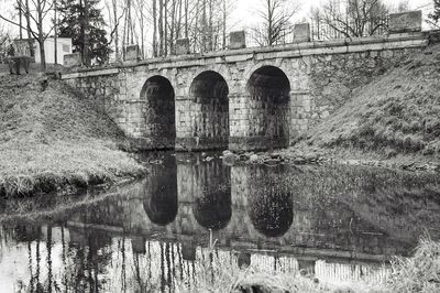 Reflection of trees in water