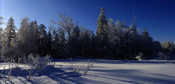 Scenic view of snow covered landscape