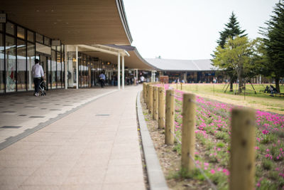 Man walking on walkway amidst trees