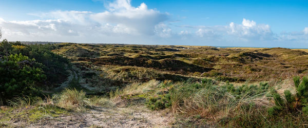 Scenic view of landscape against sky