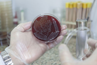 Close-up of hand holding drink