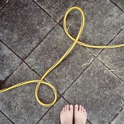 Low section of person standing by hose on paved walkway