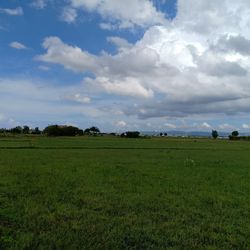 Scenic view of field against sky