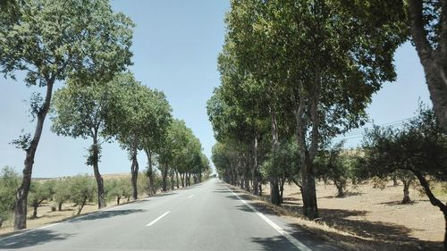 Road amidst trees against clear sky