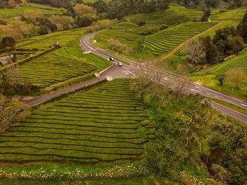 High angle view of agricultural field