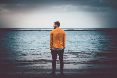 Rear view of man standing on beach against sky