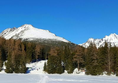 Scenic view of snowcapped mountains against clear blue sky