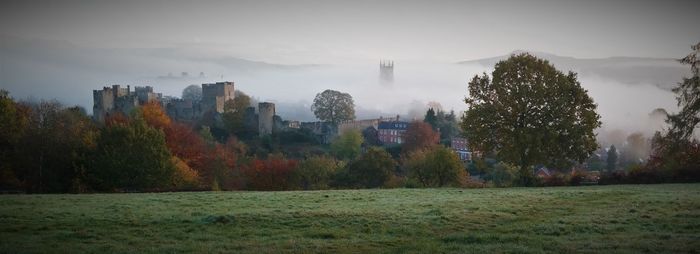 Trees on field against sky during autumn