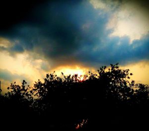 Silhouette trees against sky during sunset