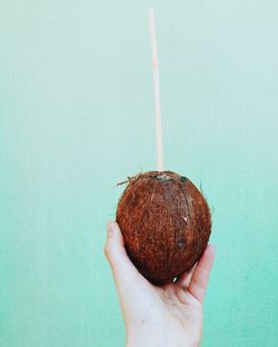 Cropped hand holding coconut on blue background