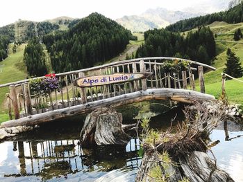 Bridge over river against trees