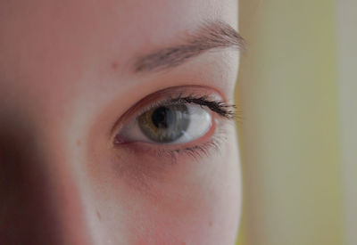 Close-up of woman eye