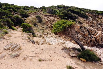 Scenic view of rocky mountains