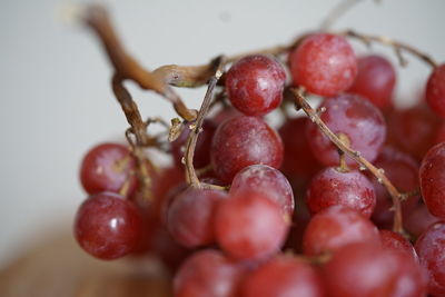 Close-up of grapes on table