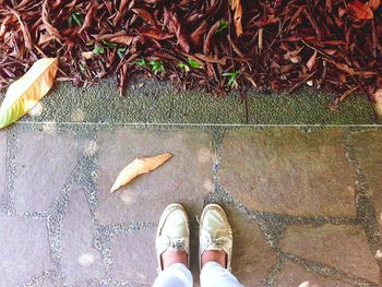 Low section of person standing on tiled floor