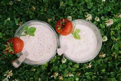 Directly above view of fresh milkshakes with mint leaves and strawberries on plant