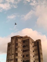 Low angle view of bird flying against sky