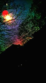 Bare trees against sky at night