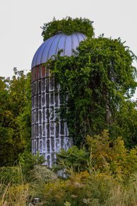 Low angle view of plants against clear sky