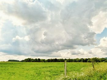 Scenic view of field against sky