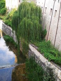 High angle view of footpath by canal