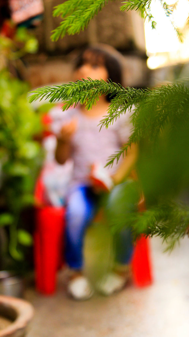 selective focus, focus on foreground, green color, leaf, close-up, growth, plant, nature, day, outdoors, tree, red, green, focus on background, beauty in nature, no people, freshness, defocused, incidental people, hanging