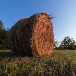 Hay bales on field against sky