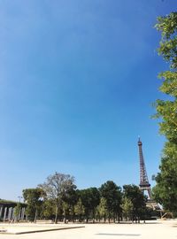 Low angle view of trees in park against clear blue sky