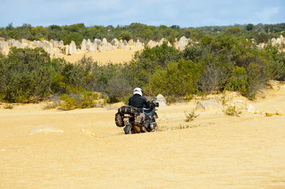 Rear view of man on desert