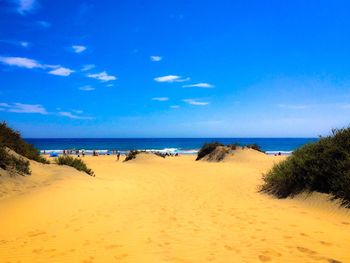 Scenic view of beach against blue sky