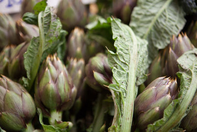 Close-up of vegetables in market