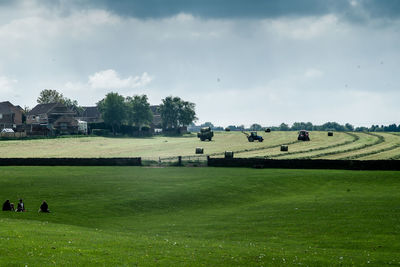 Trees on grassy field against cloudy sky