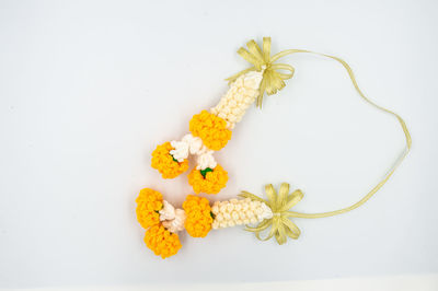 High angle view of flowering plant against white background