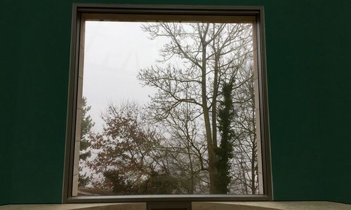 View of trees through window