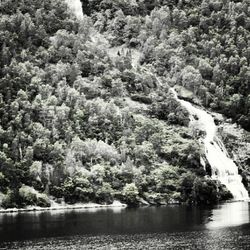 Scenic view of river with trees in background