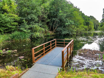 Scenic view of lake in forest
